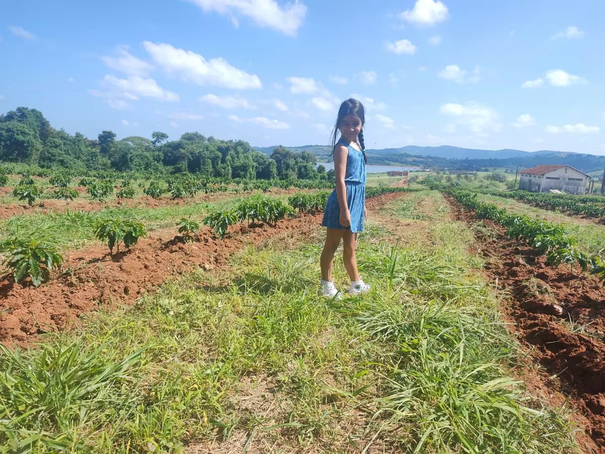 A filha do produtor em pé no talhão de café recém-plantado, com a Represa de Furnas ao fundo.